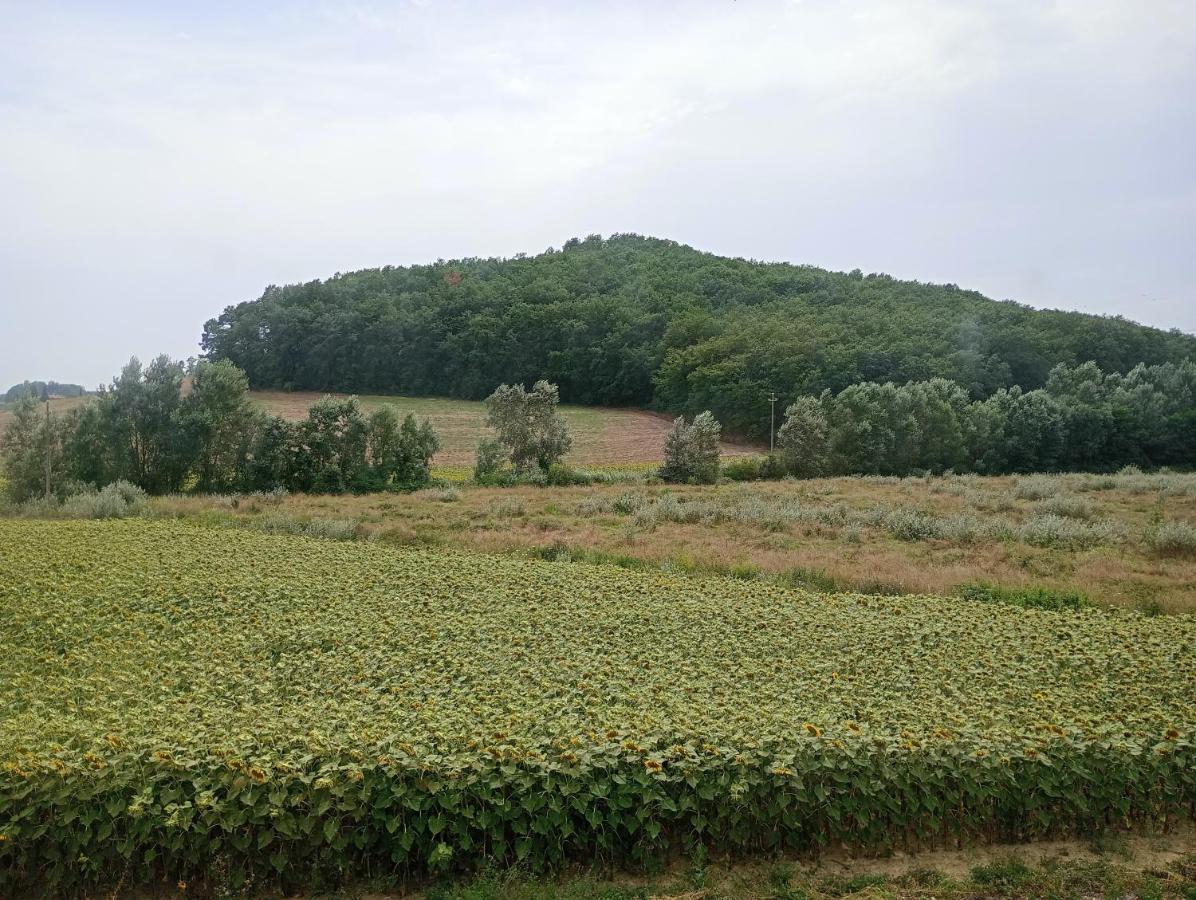 Bed and Breakfast La Casa Rossa Coiano Екстер'єр фото